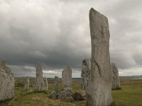 GB, Outer Hebrides, Uig, Callanish 2, Saxifraga-Bas Klaver