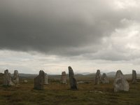 GB, Outer Hebrides, Uig, Callanish 3, Saxifraga-Bas Klaver