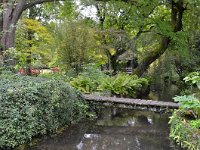 UK, Wiltshire, Woodford, Heale Garden 1, Saxifraga-Tom Heijnen