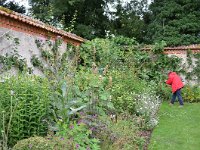 UK, Wiltshire, Woodford, Heale Garden 3, Saxifraga-Tom Heijnen