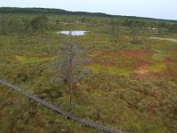 EST, Harjumaa, Kuusalu, Lahemaa rahvuspark 107, Saxifraga-Hans Boll