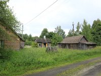 EST, Parnu maakond, Haademeeste vald, Nigula looduskaitseala 93, Saxifraga-Hans Boll