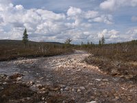 FIN, Lapland, Ivalo, Uhro Kekkonen 13, Saxifraga-Dirk Hilbers