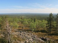 FIN, Lapland, Ivalo, Uhro Kekkonen 6, Saxifraga-Dirk Hilbers