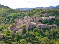 F, Ardeche, Saint-Pierreville, Saint-Pierreville village 5, Saxifraga-Tom Heijnen