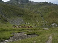 F, Ariege, Seix, Etang de Pra Matau 2, Saxifraga-Willem van Kruijsbergen