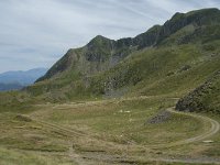 F, Ariege, Seix, Port d Aula 18, Saxifraga-Willem van Kruijsbergen