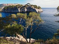 F, Bouches-du-Rhone, Cassis 22, Saxifraga-Hans Dekker