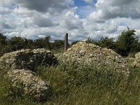 F, Bouches-du-Rhone, Saint-Martin-de-Crau, Peau de Meau 11, Saxifraga-Marijke Verhagen