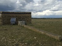 F, Bouches-du-Rhone, Saint-Martin-de-Crau, Peau de Meau 8, Saxifraga-Marijke Verhagen