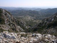 F, Bouches-du-Rhone, Saint Remy-de-Provence, Alpilles 18, Saxifraga-Dirk Hilbers