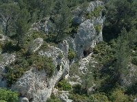 F, Bouches-du-Rhone, Saint Remy-de-Provence, Glanum 5, Saxifraga-Jan van der Straaten