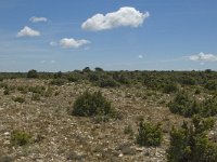 F, Bouches-du-Rhone, Saint-Remy-de-Provence, Caume 15, Saxifraga-Marijke Verhagen