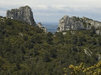 F, Bouches-du-Rhone, Saint-Remy-de-Provence, Caume 19, Saxifraga-Marijke Verhagen