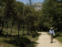 F, Bouches-du-Rhone, Saint-Remy-de-Provence, Vallon-de-Saint Clerg 4, Saxifraga-Marijke Verhagen