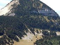F, Drome, Treschenu-Creyers, Montagne de Bellemotte 1, Saxifraga-Jan van der Straaten