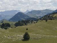 F, Drome, Treschenu-Creyers, Vallon de Combeau 100, Saxifraga-Willem van Kruijsbergen