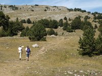 F, Drome, Treschenu-Creyers, Vallon de Combeau 25, Saxifraga-Jan van der Straaten