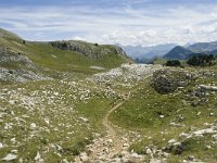 F, Drome, Treschenu-Creyers, Vallon de Combeau 90, Saxifraga-Willem van Kruijsbergen