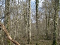 F, Haute-Marne, Saint-Dizier, Lac du Der 11, Saxifraga-Henk Sierdsema