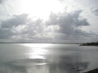 F, Haute-Marne, Saint-Dizier, Lac du Der 9, Saxifraga-Henk Sierdsema