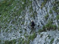 F, Isere, Gresse-en-Vercors, Balcon Est 10, Saxifraga-Jan van der Straaten