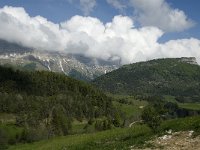 F, Isere, Gresse-en-Vercors, Balcon Est 25, Saxifraga-Jan van der Straaten