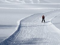 F, Isere, Gresse-en-Vercors, Barrage 3, Saxifraga-Jan van der Straaten