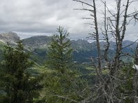 F, Isere, Gresse-en-Vercors, Brisou 13, Saxifraga-Willem van Kruijsbergen