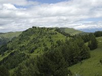 F, Isere, Gresse-en-Vercors, Brisou 19, Saxifraga-Willem van Kruijsbergen