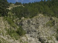 F, Isere, Gresse-en-Vercors, Brisou 21, Saxifraga-Willem van Kruijsbergen