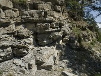 F, Isere, Gresse-en-Vercors, Brisou 22, Saxifraga-Willem van Kruijsbergen