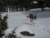 F, Isere, Gresse-en-Vercors, Chauplane 2, Saxifraga-Marijke Verhagen