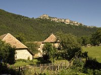 F, Isere, Gresse-en-Vercors, Chomeil 3, Saxifraga-Willem van Kruijsbergen