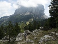 F, Isere, Gresse-en-Vercors, Col de l Aupet 6, Saxifraga-Jan van der Straaten