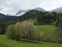 F, Isere, Gresse-en-Vercors, Col des Deux 6, Saxifraga-Jan van der Straaten