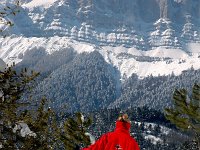 F, Isere, Gresse-en-Vercors, Grand Veymont 13, Saxifraga-Jan van der Straaten