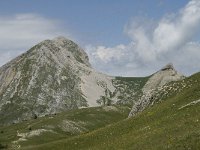 F, Isere, Gresse-en-Vercors, Grand Veymont 35, Saxifraga-Willem van Kruijsbergen