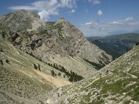 F, Isere, Gresse-en-Vercors, Grand Veymont 36, Saxifraga-Willem van Kruijsbergen