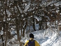 F, Isere, Gresse-en-Vercors, La Batie 1, Saxifraga-Marijke Verhagen