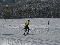 F, Isere, Gresse-en-Vercors, La Ville 15, Saxifraga-Jan van der Straaten