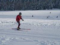 F, Isere, Gresse-en-Vercors, La Ville 16, Saxifraga-Jan van der Straaten