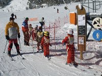 F, Isere, Gresse-en-Vercors, La Ville 22, Saxifraga-Jan van der Straaten