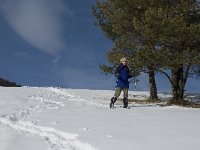 F, Isere, Gresse-en-Vercors, La Ville 3, Saxifraga-Jan van der Straaten