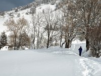 F, Isere, Gresse-en-Vercors, Les Deux 6, Saxifraga-Jan van der Straaten