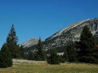 F, Isere, Gresse-en-Vercors, Malaval 1, Saxifraga-Marijke Verhagen