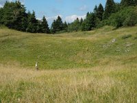 F, Isere, Gresse-en-Vercors, Menil 5, Saxifraga-Jan van der Straaten