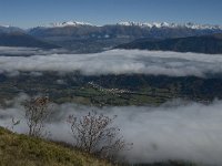 F, Isere, Gresse-en-Vercors, Monestier de Clermont 2, Saxifraga-Jan van der Straaten