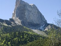 F, Isere, Gresse-en-Vercors, Mont Aiguille 38, Saxifraga-Jan van der Straaten