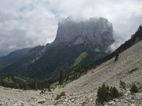 F, Isere, Gresse-en-Vercors, Mont Aiguille 49, Saxifraga-Willem van Kruijsbergen